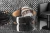 7_max.webp
