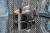 7_max.webp