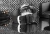 7_max.webp