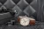 6_max.webp