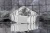 7.webp