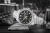 EFR-574D-1AVUEF5.jpg