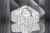 viva-f0769db93d1b7a982563440e.webp