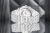 viva-9c16d7ba84b69cfd613a29b3.webp