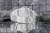 viva-3bd603e6a4c308c3aedc6f88.webp