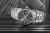 viva-913ed5f29cfc11115f8ad36c.webp