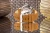 viva-102d8a559afe91db15b3fff2.webp