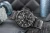 viva-6862b50f4f4b07898a68fc9f.webp