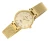 viva-d2a9db33da413298c80344ac.webp