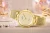 viva-158914fff3cbca5dded4becf.webp