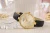 viva-df78784d110e7eece5e3bcca.webp