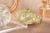 viva-9d9fbf791aafddffc62bb44c.webp