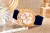 viva-9f84b83dfe1d07a0db5955d6.webp