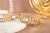 viva-d1a5aee85bc040df7b59f475.webp
