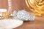 viva-f4270e4d9a169025e4dff9a2.webp