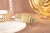 viva-a8ec91de522ad022bff25e11.webp