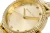 viva-7c767bf810f974d67e478154.webp