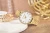 viva-2eb155a1ed517ae4a0a1e3f3.webp
