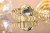 viva-910425d4278cffc0294ab887.webp