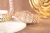 viva-e249b44a9325b1e34f4732e0.webp