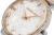 viva-9369b93f3cca62ce87e60280.webp