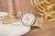 viva-34af1929d0b984a2a5f6af80.webp