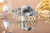 viva-65072c609bb682a854bba778.webp