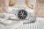 viva-d63affd2403aab5e8a80d7db.webp