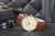 viva-6f618489c536fc8a21f80f78.webp