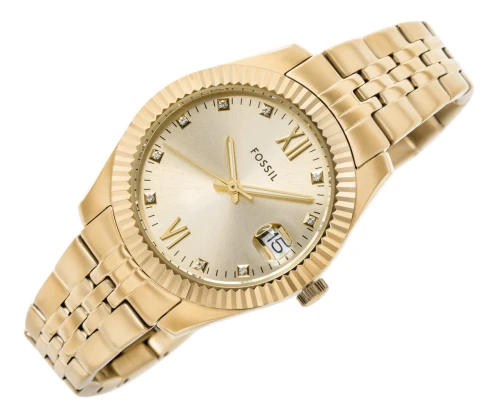 viva-08923d37d83870a74e6e4df0.webp