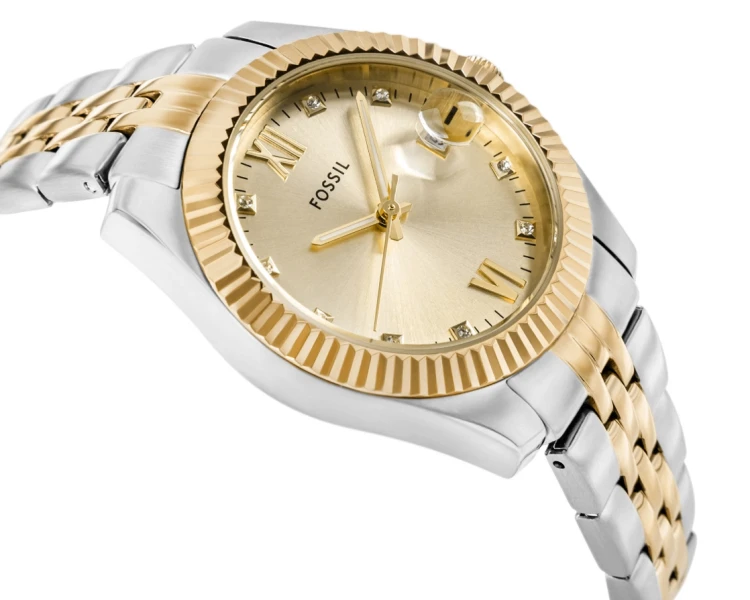 viva-b6455e0287e0ae388b67bdda.webp