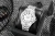 viva-328cb54be3c4c3173d2e1f5c.webp