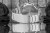 viva-ef82febd4e5ceff4703c3e79.jpg