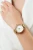 viva-b87681c9926244cf4b31ddaa.webp