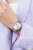 viva-126925486f441cfb9dd762c8.webp